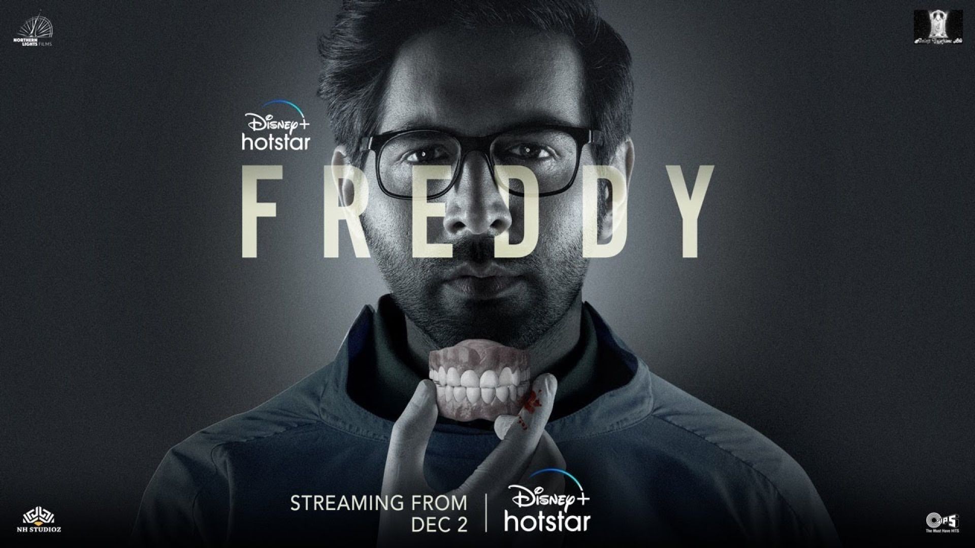 Freddy (2022) Hindi DSNP WEB-DL 480p