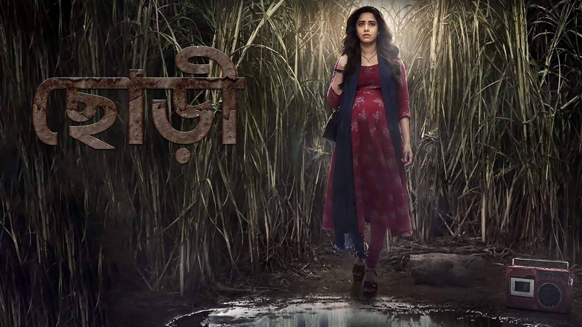 Chhorii (2024) Bengali Dubbed WEBRip 480P