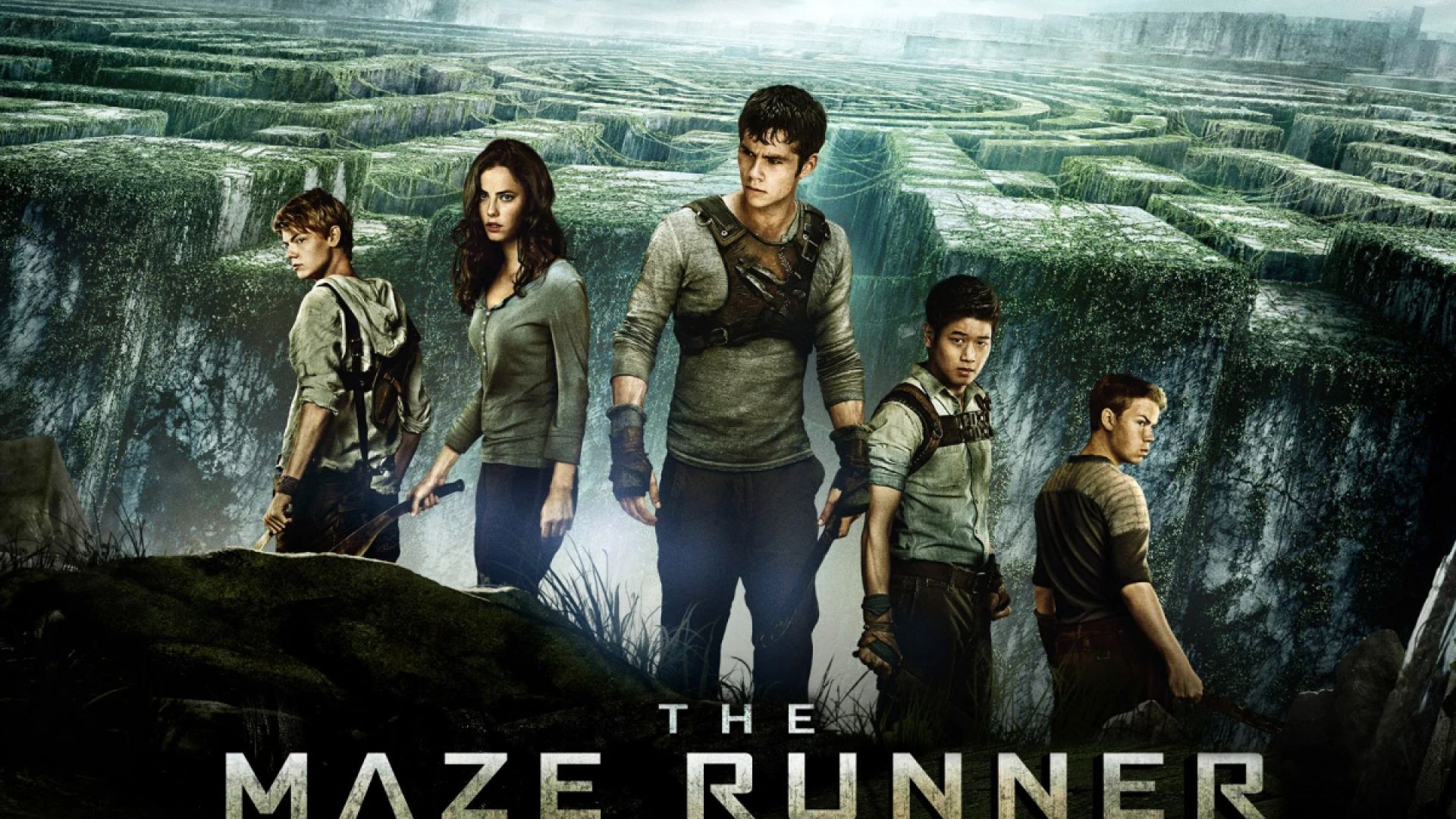 The Maze Runner (2014) Dual Audio [Hindi ORG & ENG] BluRay 1080p